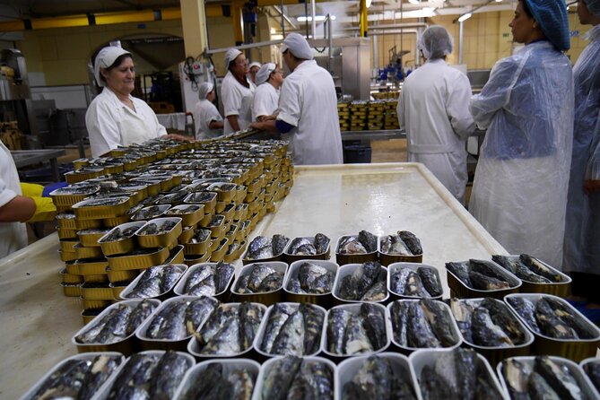Private Fish Experience with Market-to-table lunch from Porto - How the Private Format Changes the Day (Fonzie-Level Guidance)