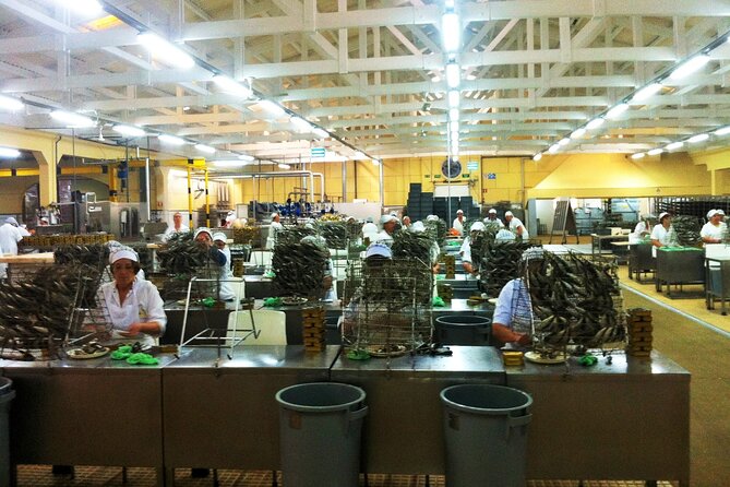 Private Fish Experience with Market-to-table lunch from Porto - Price and Value: Is $300.40 Per Person Worth It?
