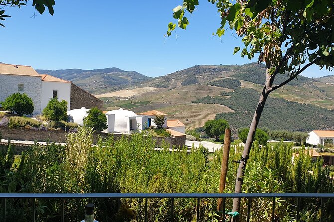 Private full-Day Tour to Douro Valley - Key highlights at a glance