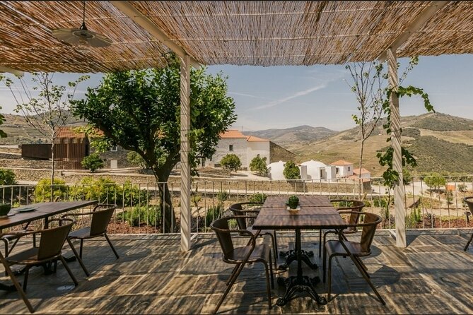 Private full-Day Tour to Douro Valley - Stop 3: D’Origem for olive oil tasting and table wine with a view