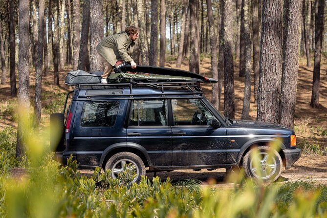 Private Jeep Tour from Oporto - São Jacinto Nature Reserve: guided walks for a slower ending