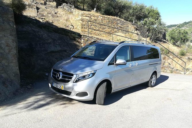 Private off the beaten Douro Valley Wine Tour - Valença do Douro and the N222: photo stop with big payoff