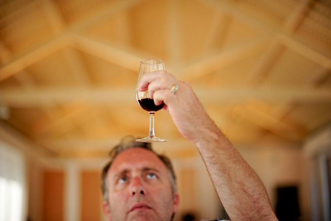 Private off the beaten Douro Valley Wine Tour - Lamego: Port tasting and a second winery that widens the picture