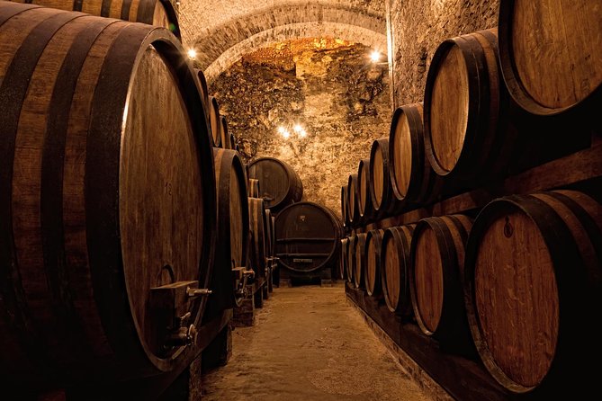 Private Porto Half Day Tour: Port Wine Cellars and Cheese Tasting - How the Private Guide Makes the Half Day Feel Worth It