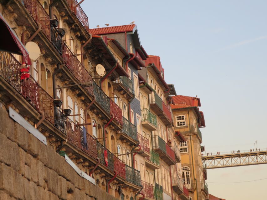 Private Porto Half-Day Tour - Wine Cellars & Cheese Tasting - What makes the guide matter (and why it shows up in the details)