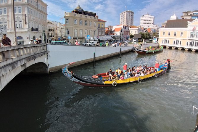 Private Porto to Lisbon Tour – Customize Your Journey! - Pickup in Porto and the Van Comfort That Actually Helps