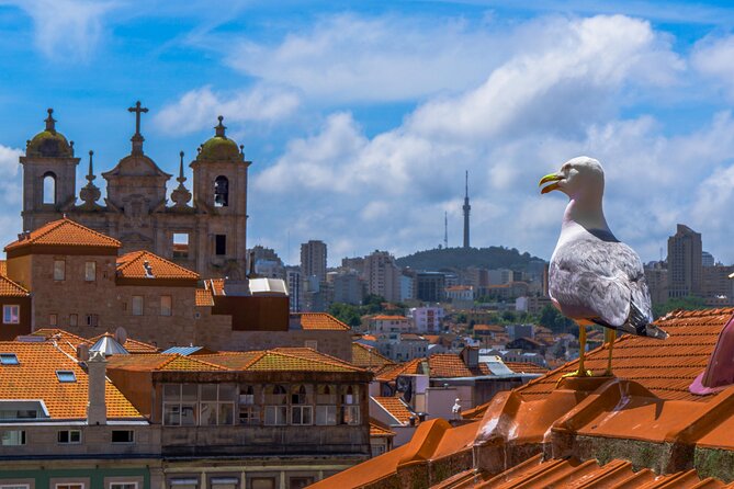 PRIVATE Porto walking tour with historian - Miradouro da Vitória: when the views click