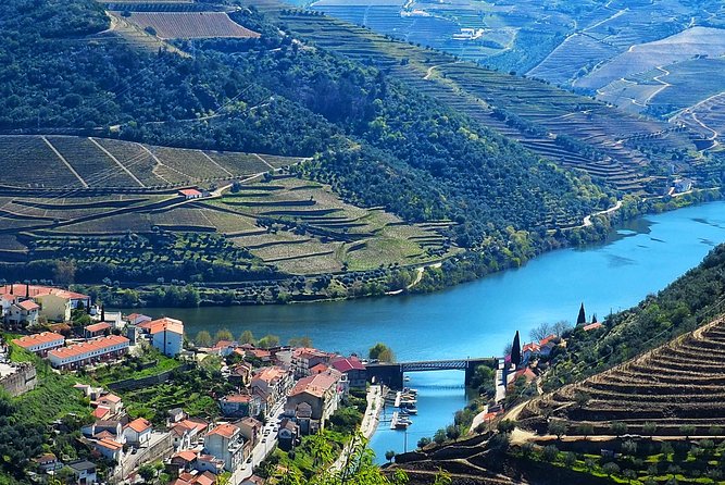 Private Premium Wine Experience through Douro Valley - Bagaúste electric boat trip: quiet, not crowded