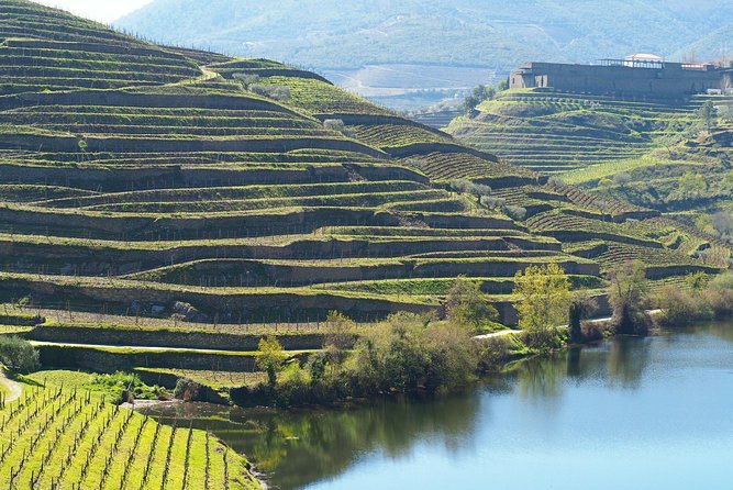 Private Premium Wine Experience through Douro Valley - Price and value: does $733.69 per person make sense?