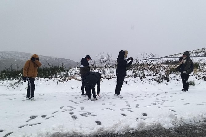 Private Serra da Estrela Gastronomy & Snow Tour from Porto - A Private Serra da Estrela Day Starts in Porto (and stays comfortable)