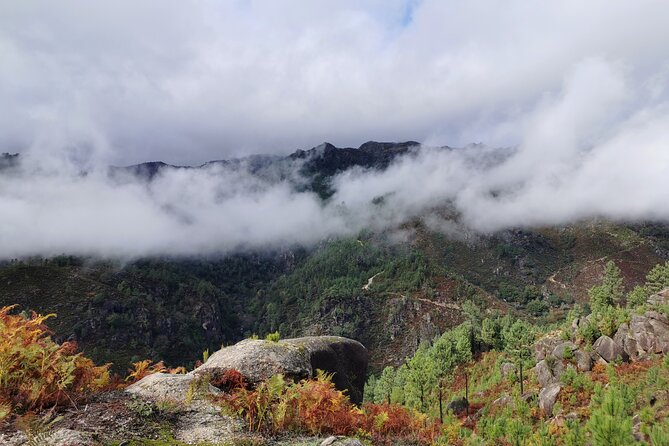 Private / tailor made experience in Gerês National Park - Lagoon Finish: A Peaceful Swim and a Slower Pace