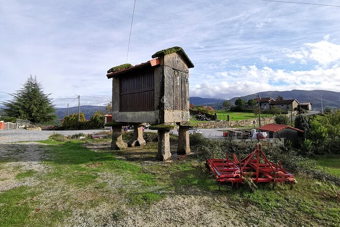 Private / tailor made experience in Gerês National Park - Reforestation Project: Your Tour Helps, Not Just Points