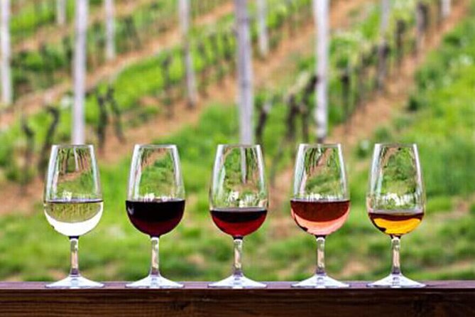 Private Taxi Tour in the Douro with a Visit to 2 Family Vineyards - Key highlights at a glance