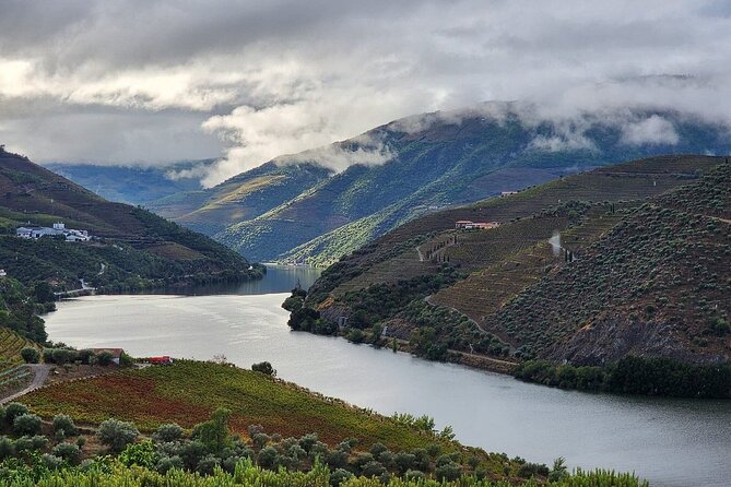 Private Taxi Tour in the Douro with a Visit to 2 Family Vineyards - The big idea: why a private taxi tour works so well in the Douro
