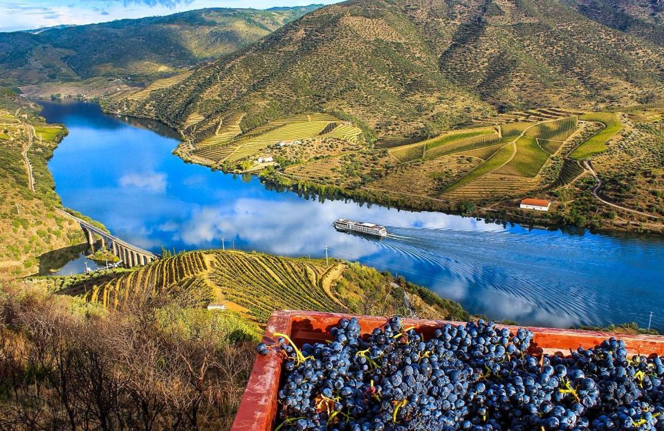 Private Tour: Douro Valley Wine and Food From Porto - Key highlights worth planning around