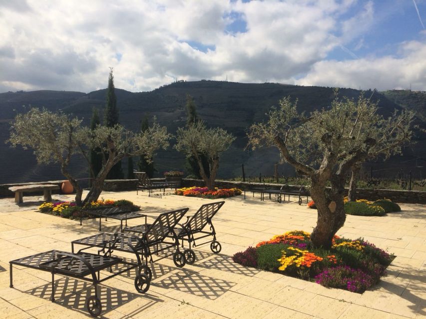 Private Tour: Douro Valley Wine and Food From Porto - The Douro Valley lunch break: taste local food, not just wine