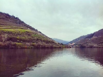 Private Tour: Douro Valley Wine and Food From Porto - Peso da Régua: the guided start with wine tasting