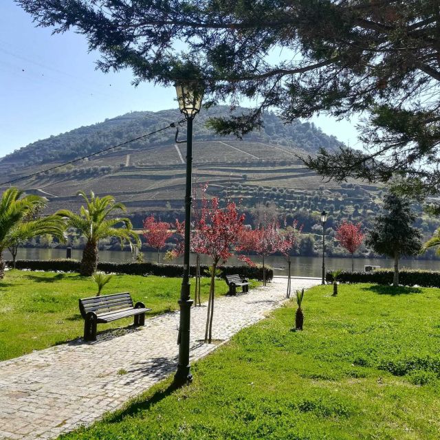 Private Tour: Douro Valley Wine and Food From Porto - After lunch: cruise vs. Pinhão views (and how to handle availability)