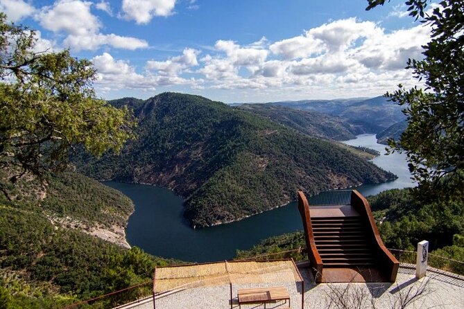 Private Tour from Porto : Douro Valley and Green Wines - How Porto Wine Gets Made: Cellars, Tanks, and a Taste
