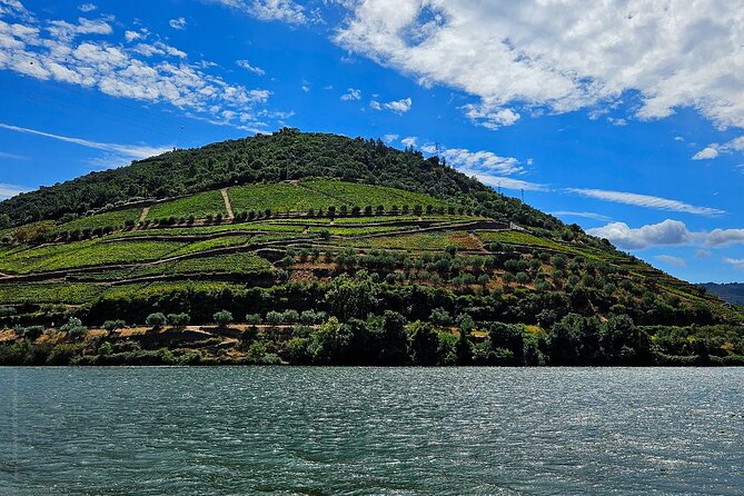 Private Tour from Porto : Douro Valley and Green Wines - Price and What You’re Really Paying For