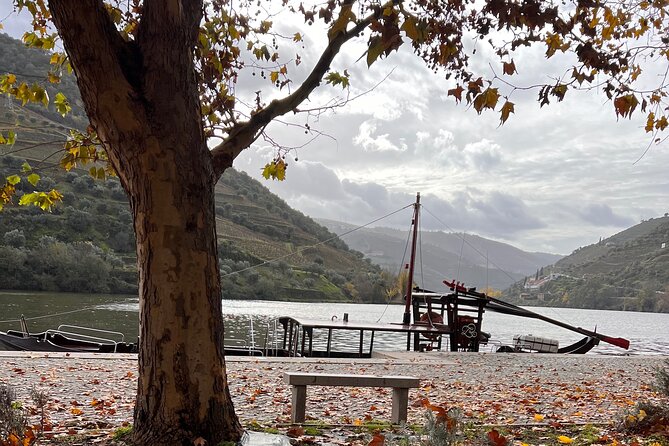 Private Tour From Porto To Douro Valley With River Boat Ride - Why this private Porto-to-Douro day feels like a “real itinerary,” not a shuffle
