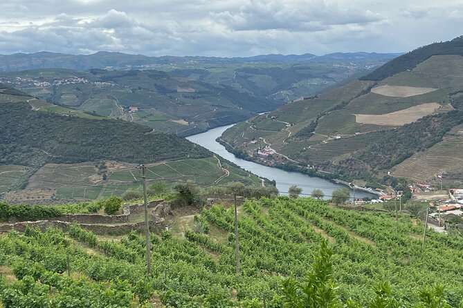 Private Tour From Porto To Douro Valley With River Boat Ride - Quinta do Tedo winery visit: production steps, mostly handmade work, and tastings in a special setting