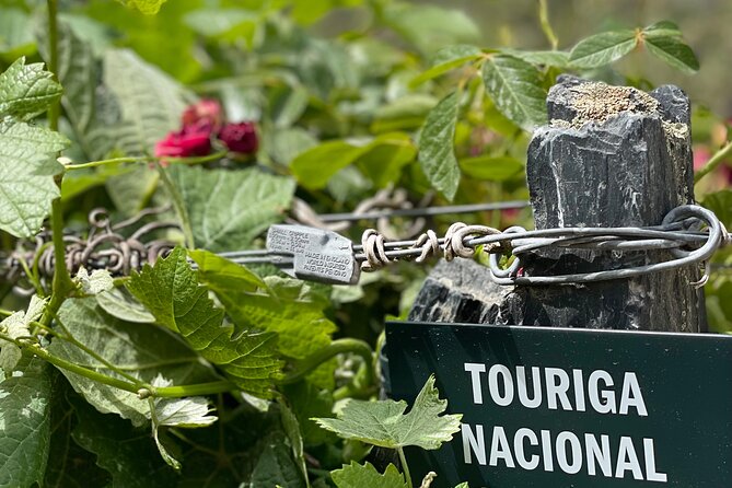 Private Tour From Porto To Douro Valley With River Boat Ride - Casal de Loivos: village views plus a simple wine and olive oil tasting