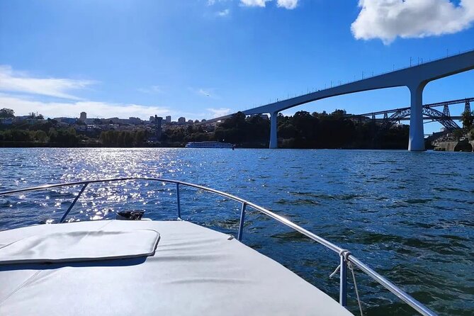 Private Tour of the Bridges and Douro River 2h, group price up to 6px - Ponte do Infante D. Henrique: Modern Bridge, Clean Lines