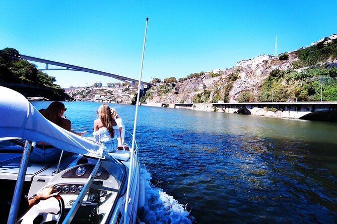Private Tour of the Bridges and Douro River 2h, group price up to 6px - Ponte da Arrábida: The Big Concrete Arch Moment