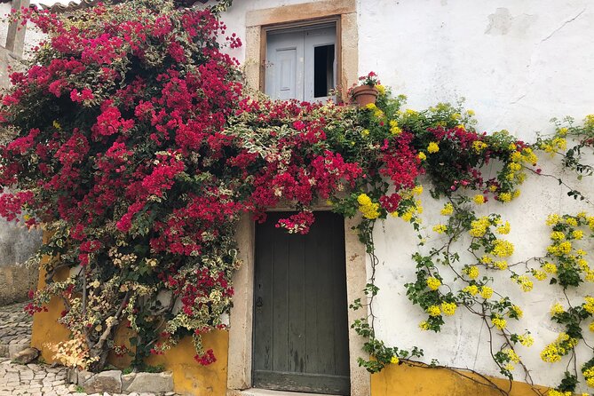 Private Tour: Porto to Lisbon: visit Aveiro,Coimbra,Fatima,Obidos - Coimbra and Its University Streets: World Heritage Without the Hustle