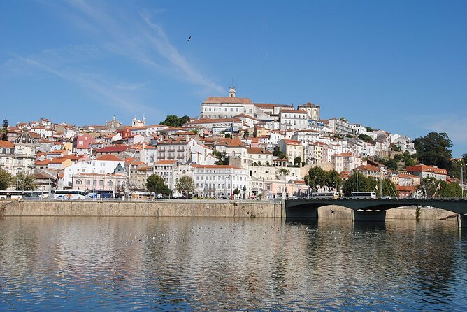 Private Tour: Porto to Lisbon: visit Aveiro,Coimbra,Fatima,Obidos - Comfort, Timing, and the Guide Factor (Where the Day Succeeds)