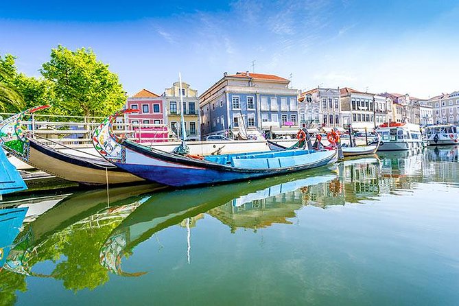Private Tour to Coimbra, Aveiro and Costa Nova - Costa Nova’s Fishing Houses by the Beach: The Day’s Most Memorable Payoff