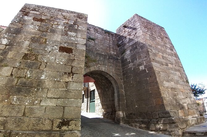 Private Tour to Lamego and Viseu, the Dão wine region - Dão Wine Region Choices: How to Pick Your Tastings