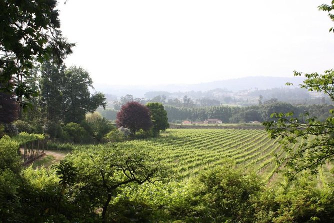 Private tour to Ponte de Lima, Vinho Verde region - Getting to Ponte de Lima from Porto: comfort and timing