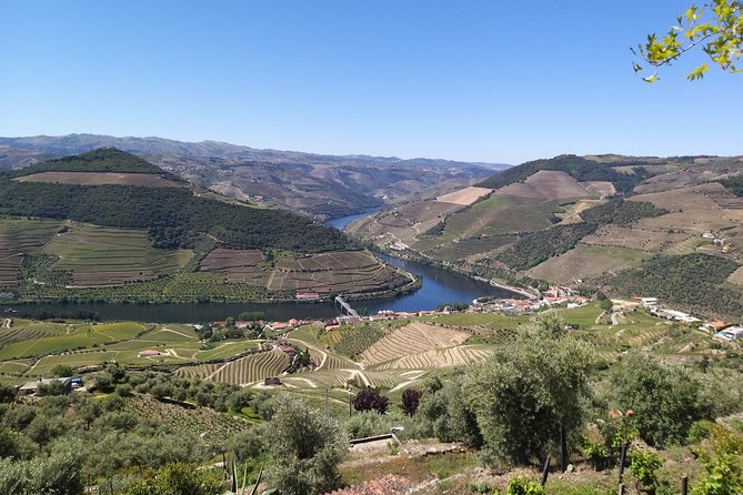 Private Tour to stunning Douro Valley and most renowned wineries - Key highlights you’ll feel on the day