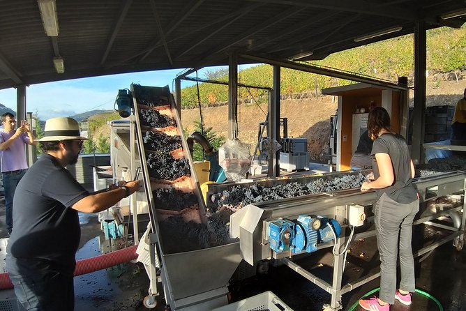 Private Tour to stunning Douro Valley and most renowned wineries - Pinhão: river-town charm plus the azulejo railway station