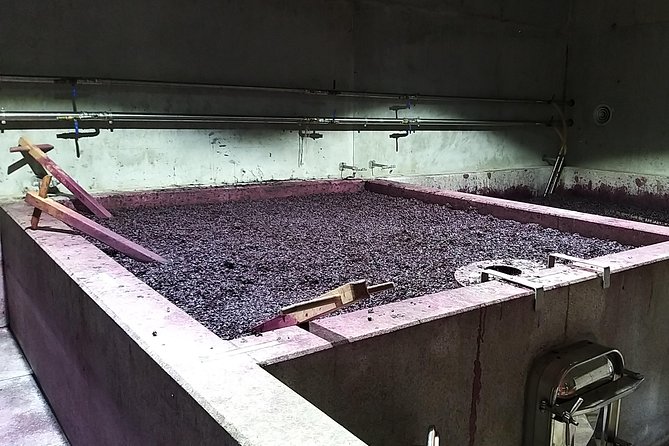 Private Tour to stunning Douro Valley and most renowned wineries - Peso da Régua: the Douro wine hub and quick museum context