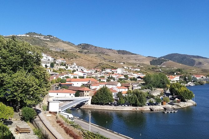 Private Tour to stunning Douro Valley and most renowned wineries - Choosing wineries and tastings: how the real costs work