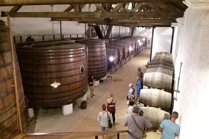Private Tour to the rock art of Côa Park, Pinhão and Winery - Stop 6 and Stop 7: Optional Quinta tastings in the Douro—Seixo and Bomfim choices