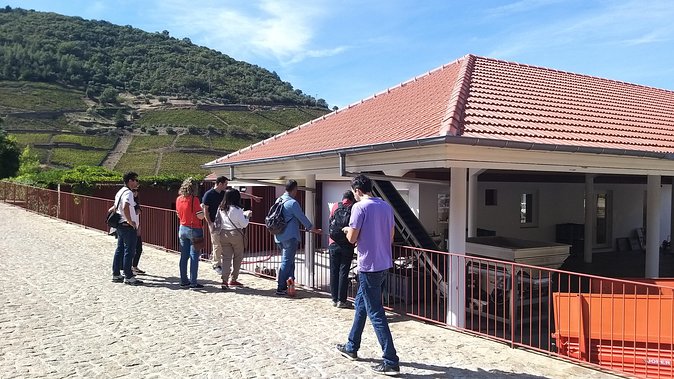 Private Tour to the rock art of Côa Park, Pinhão and Winery - Stop 2: Caminho da Costa viewpoint for wide-valley orientation