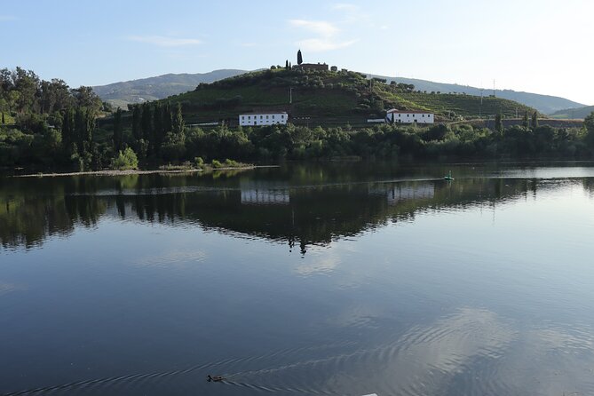 Private tour with 2 wineries and typical harmonized lunch - A private Douro day built around tasting, not traffic