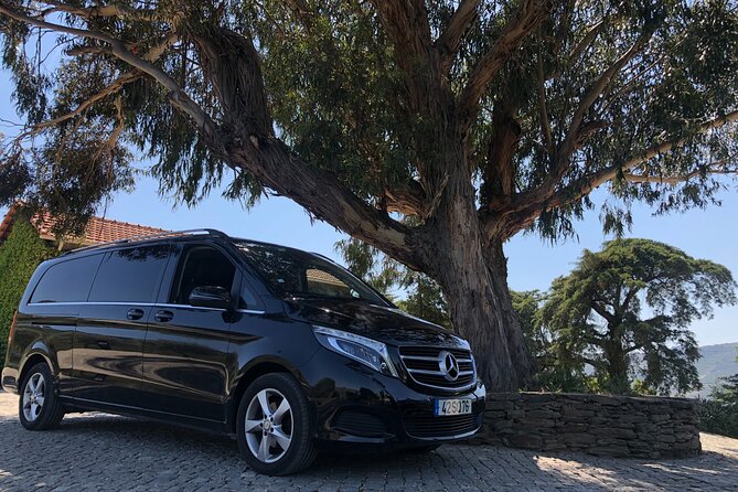 Private transfer from Porto to Lisbon with two Sightseeing stops - Coimbra: one hour of university views over the Mondego