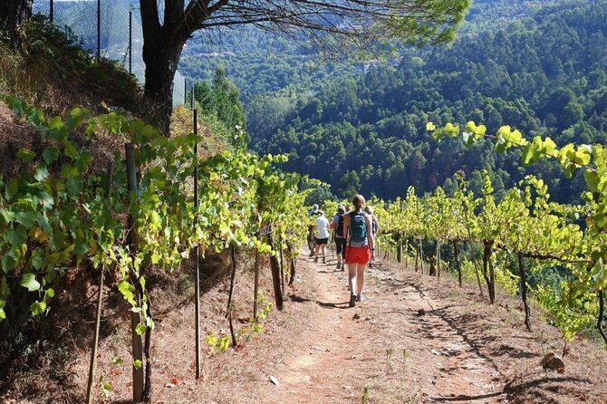 Private Vinho Verde Region Wine Tour from Porto Including Lunch - Amarante walking time and Igreja de São Gonçalo