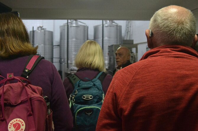 Private Vinho Verde Region Wine Tour from Porto Including Lunch - Second winery in Vale de Sousa: a big-producer contrast with big gardens