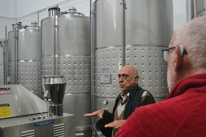 Private Vinho Verde Region Wine Tour from Porto Including Lunch - Timing, comfort, and who this tour fits best