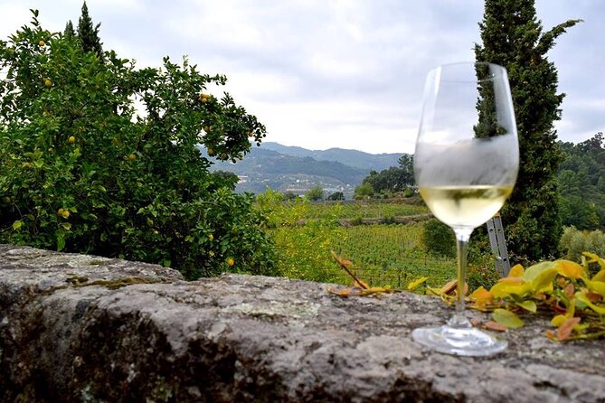 Private Vinho Verde Wine Tour from Porto with Lunch & Tastings - What the tastings teach you about Vinho Verde