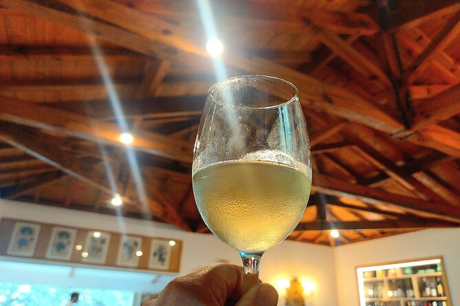 Private Vinho Verde Wine Tour from Porto with Lunch & Tastings - Comfort, pacing, and the real timing of an 8-hour day