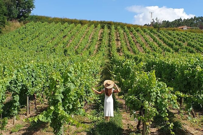 Private Vinho Verde Wine Tour from Porto with Lunch & Tastings - Price and value: what $288.38 buys you