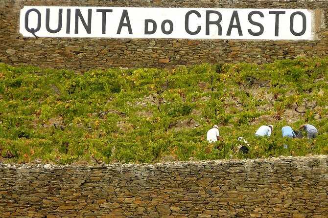 Private Wine & Food Tour in Douro - Price and what you’re really paying for ($776.75 per person)
