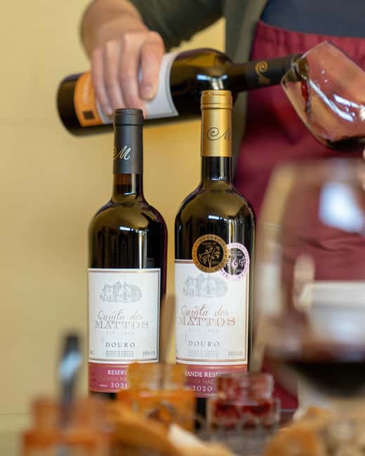 Régua: Wine Tasting at a Farm, Traditional Lunch, Cruise and Train - Key highlights worth planning around